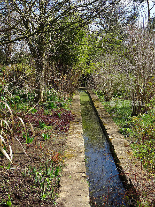 小溪/小溪穿过长满草本花朵的花园的图像